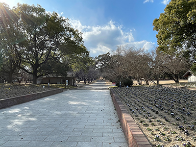 酒津公園