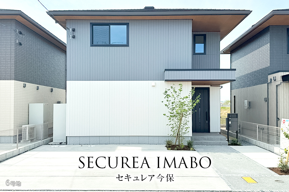 6号地