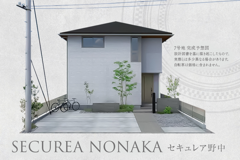 7号地