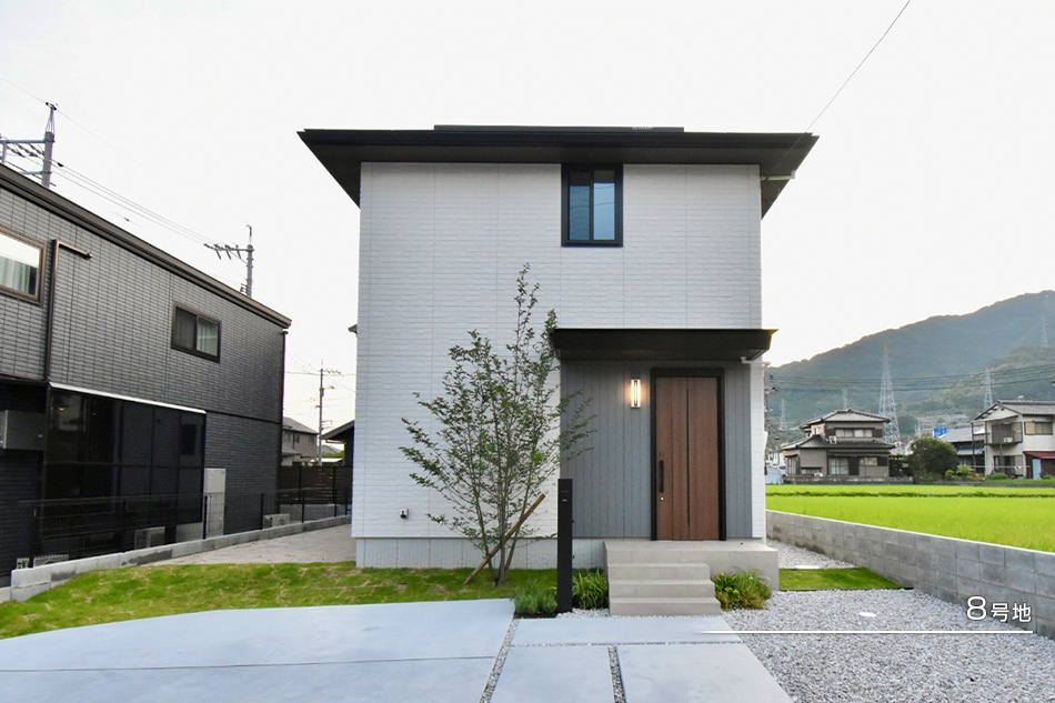 8号地