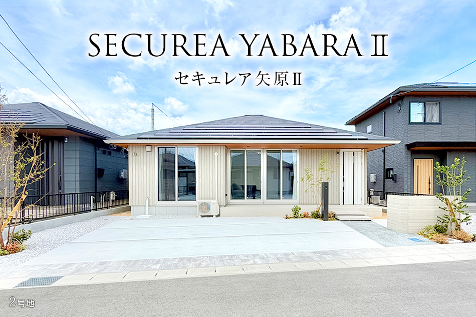 2号地