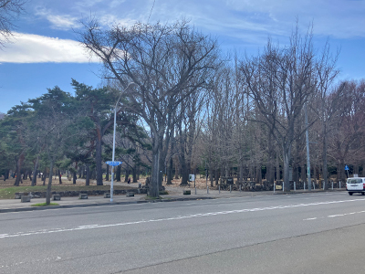 円山公園