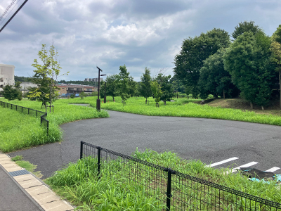 県立市野谷の森公園