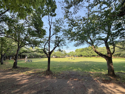 飯綱近隣公園