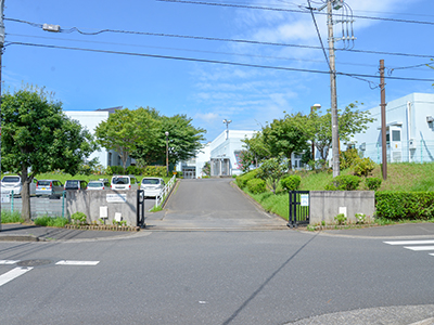 千葉市立有吉小学校