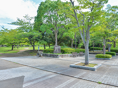 おゆみ野はるのみち公園
