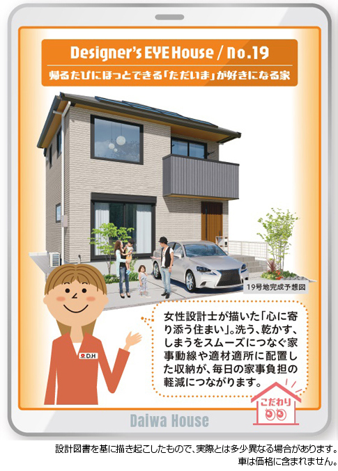 19号地