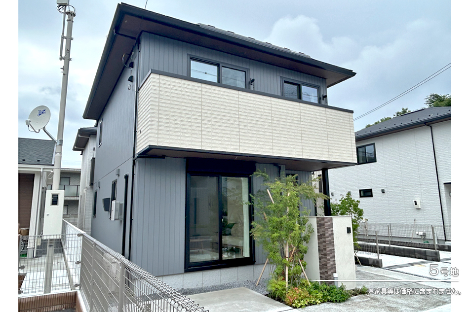 5号地