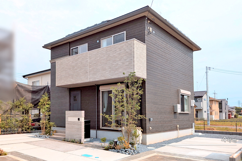 4号地