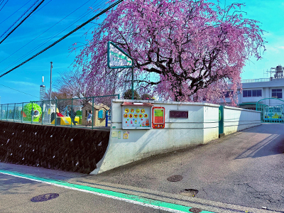 光が丘幼稚園