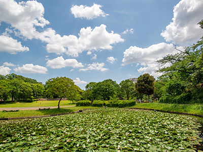 山田富士公園
