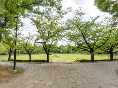 山崎公園