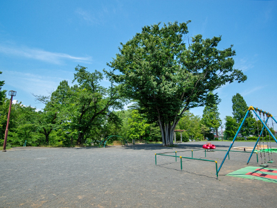 あざみ野四丁目北公園