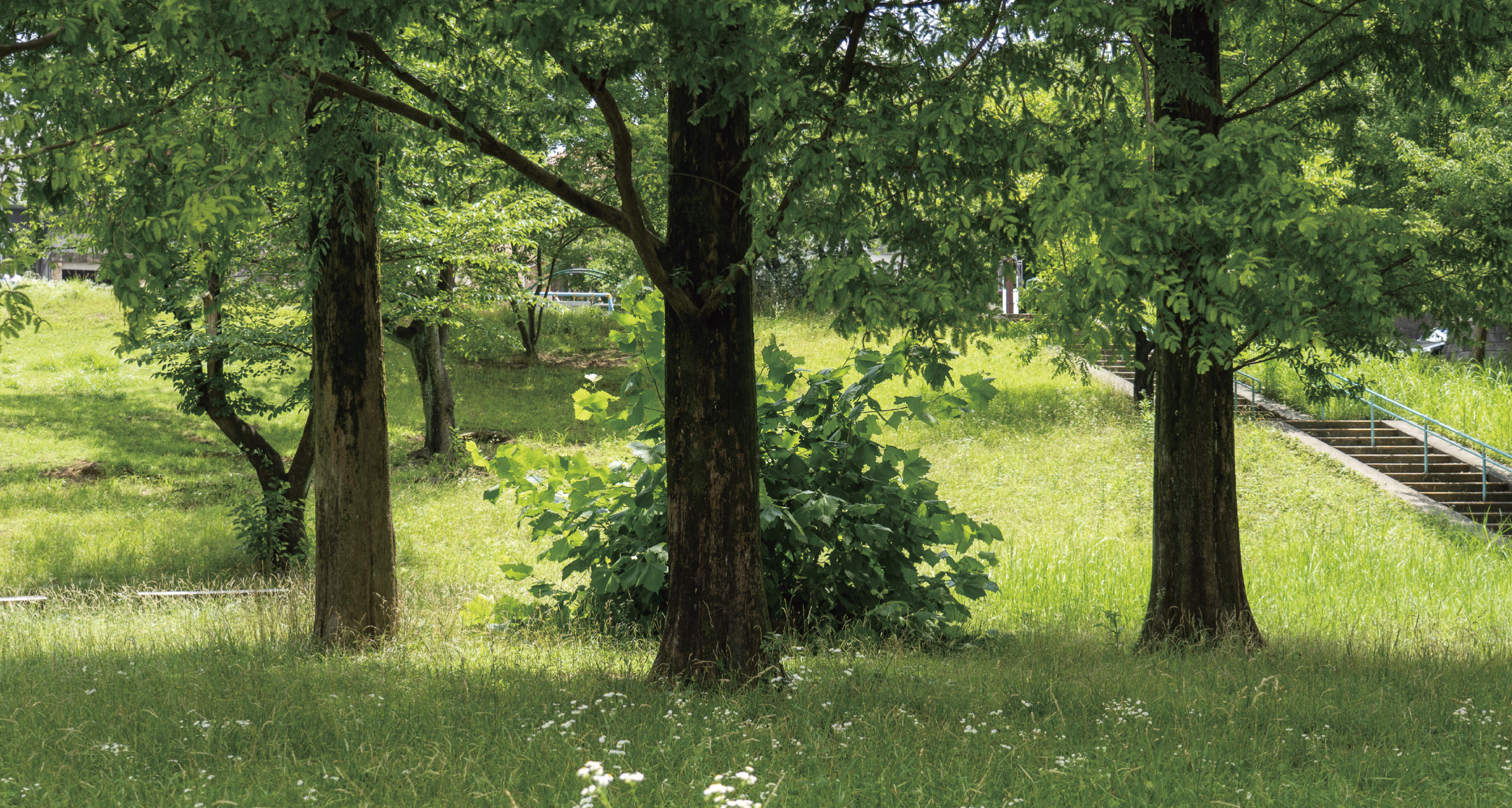 あざみ野四丁目北公園