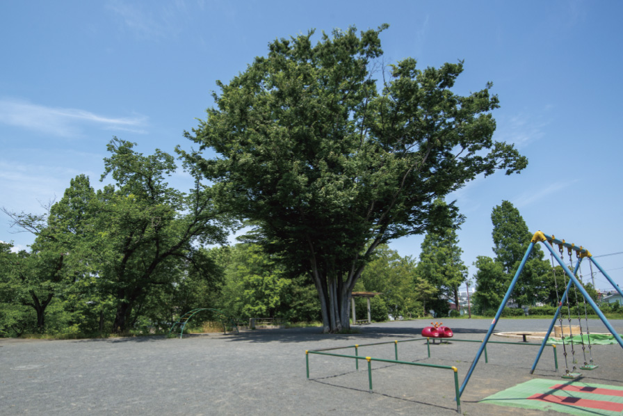 あざみ野四丁目北公園