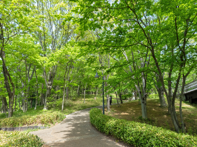 都筑中央公園