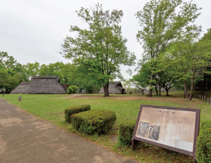 大塚・歳勝土遺跡公園