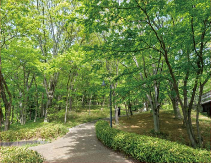 都筑中央公園