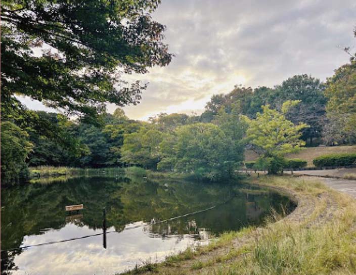 鴨池公園