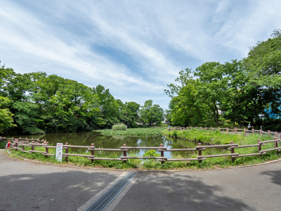 菊名池公園