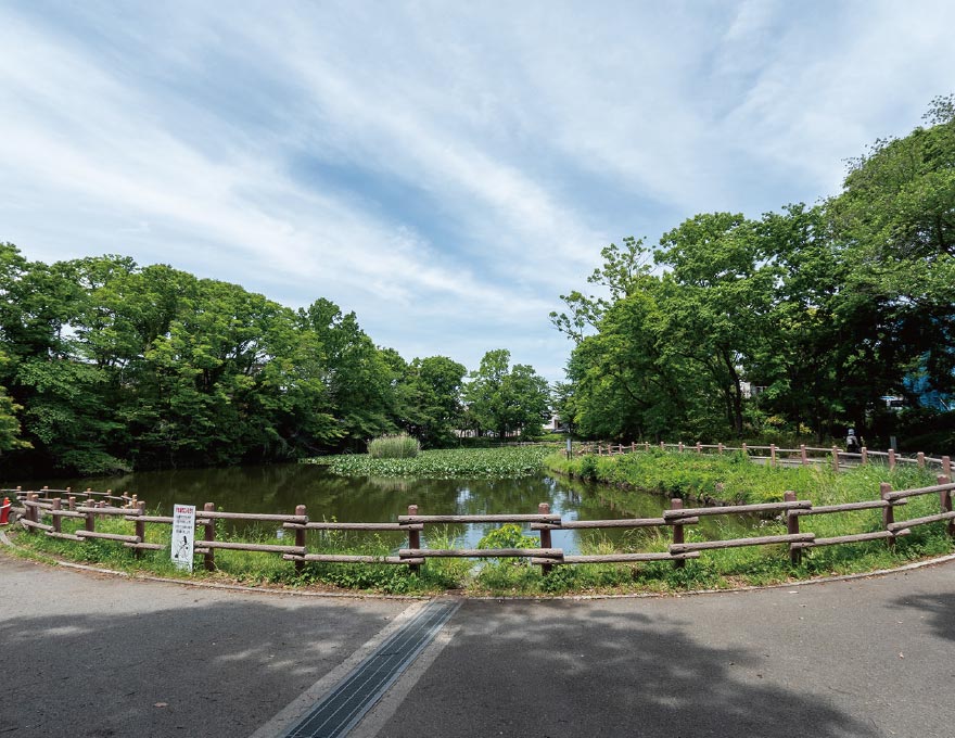 菊名池公園