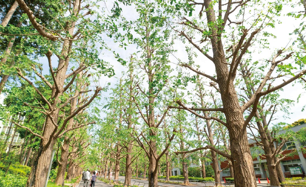 慶応大学 日吉キャンパス