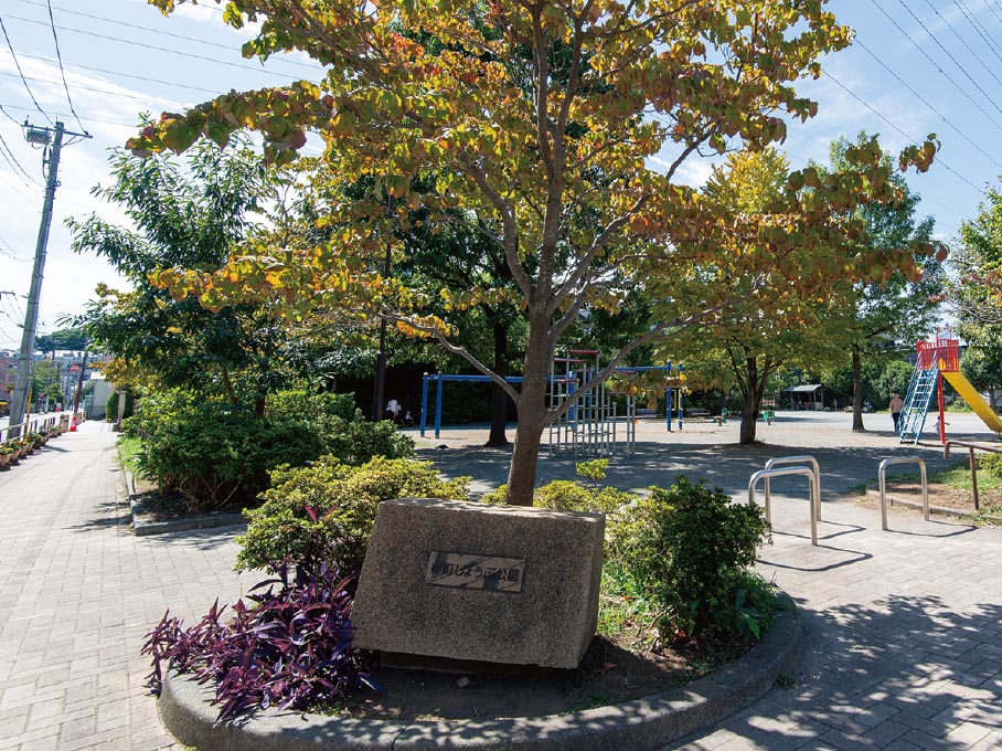 樽町しょうぶ公園