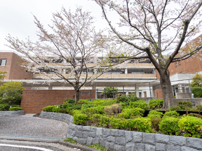 聖光学院中学校高等学校