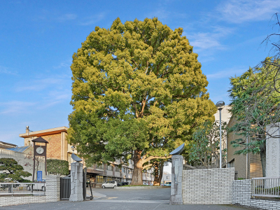 埼玉県立川越高等学校