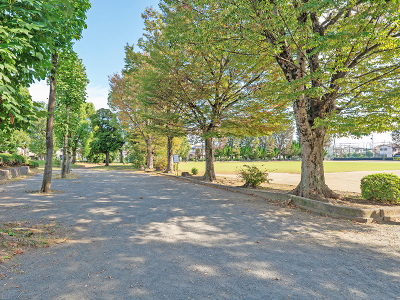 芦山公園