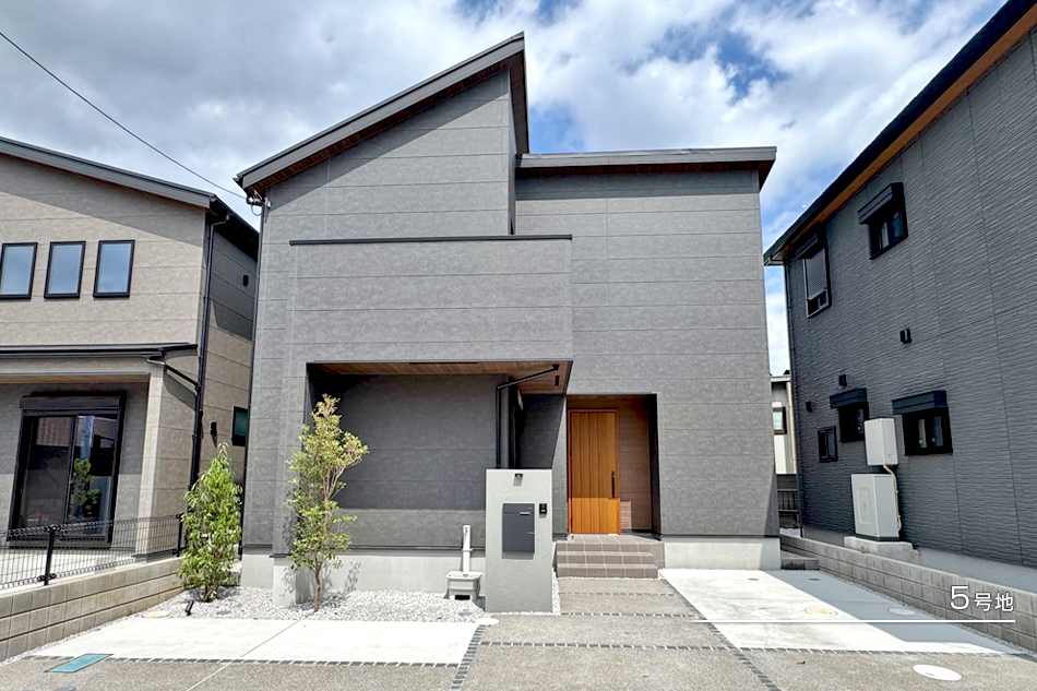 5号地