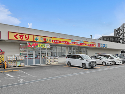 どらっぐぱぱす 八潮大瀬店