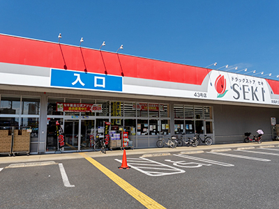 ドラッグストアセキ 向陽町店