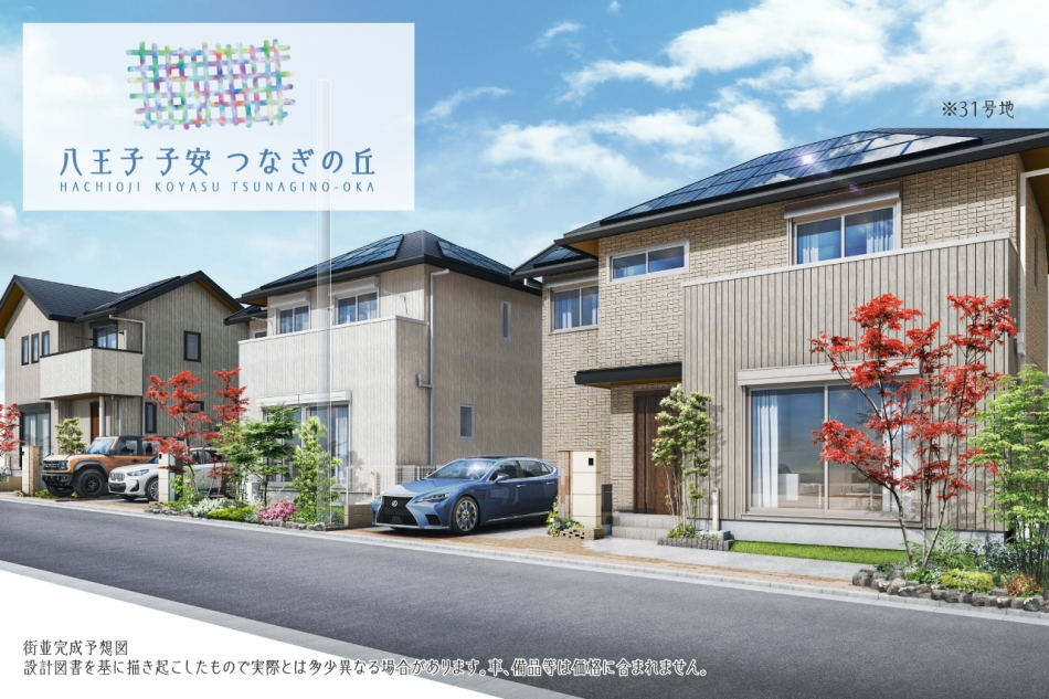 31号地