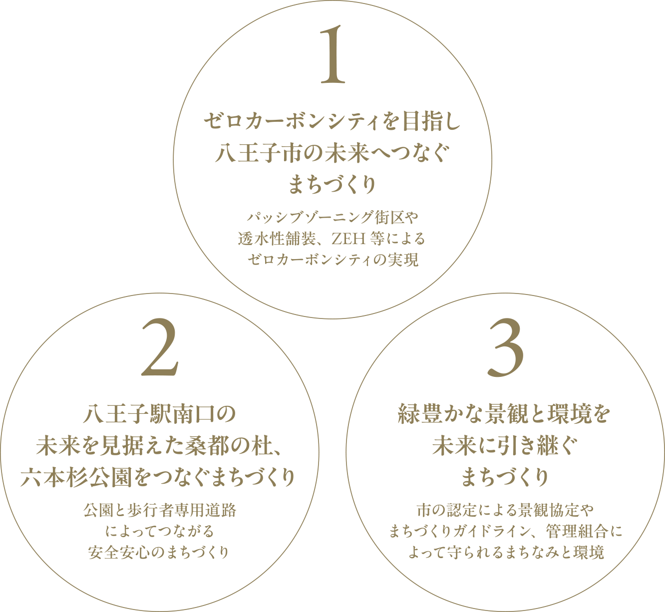 1.ゼロカーボンシティを目指し八王子市の未来へつなぐまちづくり、2.八王子駅南口の
未来を見据えた桑都の杜、六本杉公園をつなぐまちづくり、3.緑豊かな景観と環境を未来に引き継ぐまちづくり