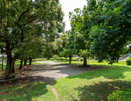 来光寺公園