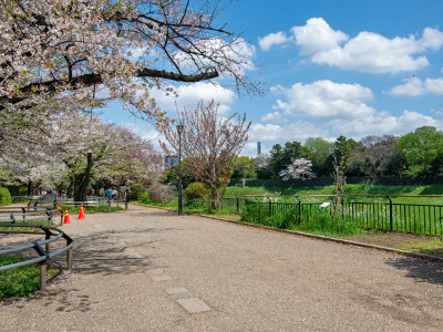 千鳥ヶ淵公園