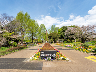 武蔵国分寺公園