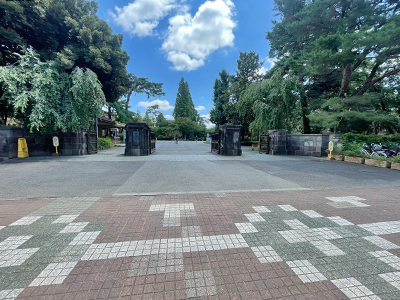 一橋大学