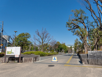 教育の森公園