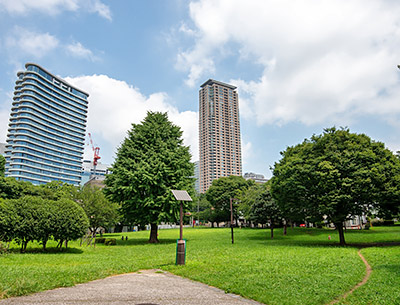 青山公園