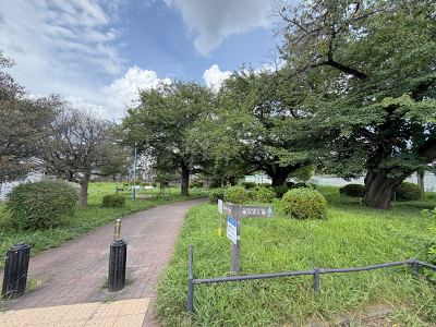 寿中央公園
