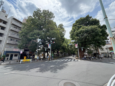 けやき並木通り