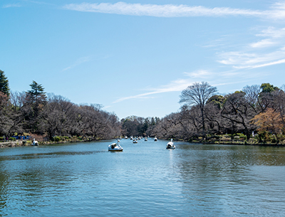 都立井の頭恩賜公園