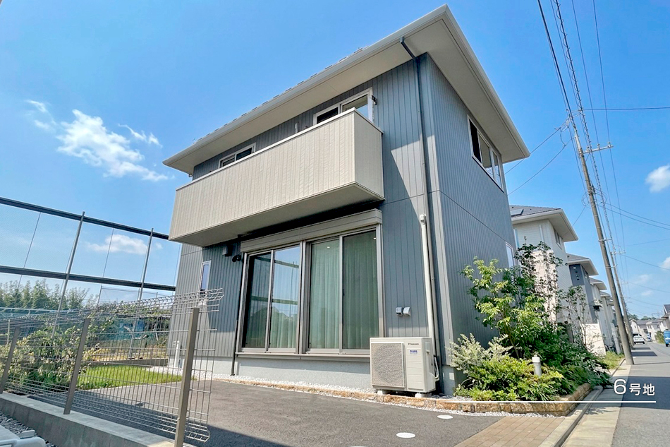 6号地