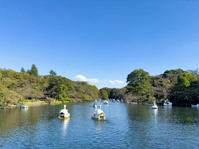 井の頭恩賜公園