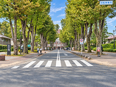 成蹊大学