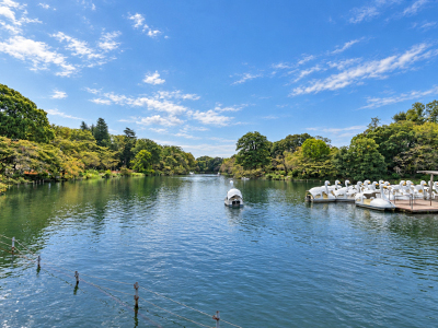 井の頭恩賜公園