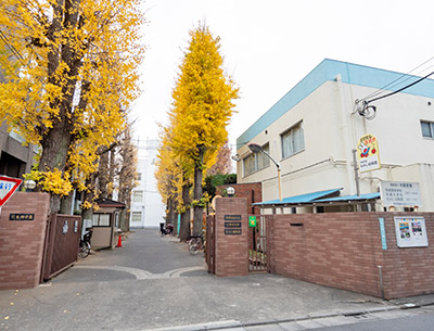 もみじ幼稚園