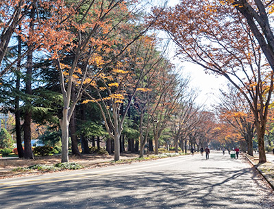 駒沢オリンピック公園